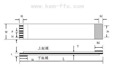 FFC排線(xiàn)平面結(jié)構(gòu)